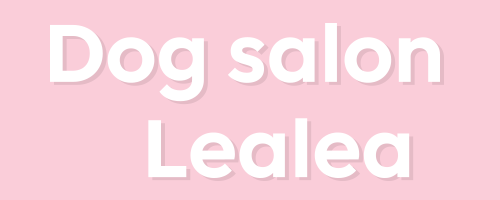 Dog Salon Lea lea（ドッグサロン レアレア）｜東大宮の小型犬専門トリミングサロン